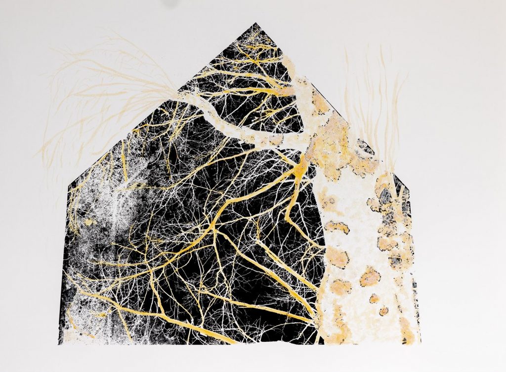 Iva Liptáková - Do zvetranej siene vkročíš