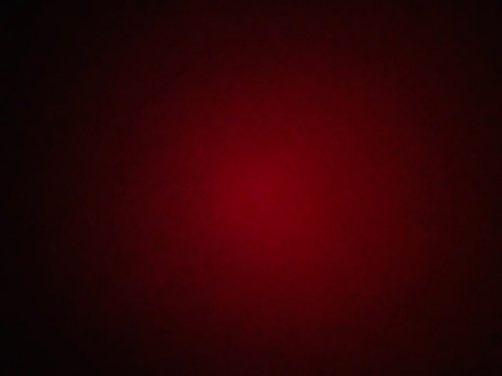 Michaela Prablesková - Opus accidentalis (2)