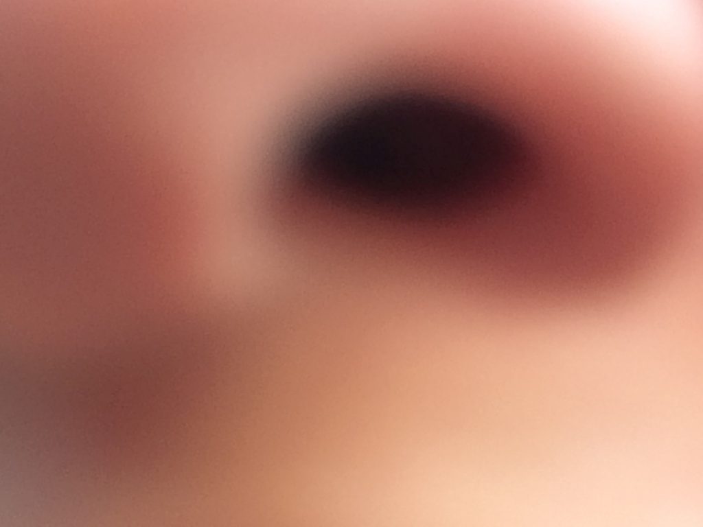 Michaela Prablesková - Opus accidentalis (3)