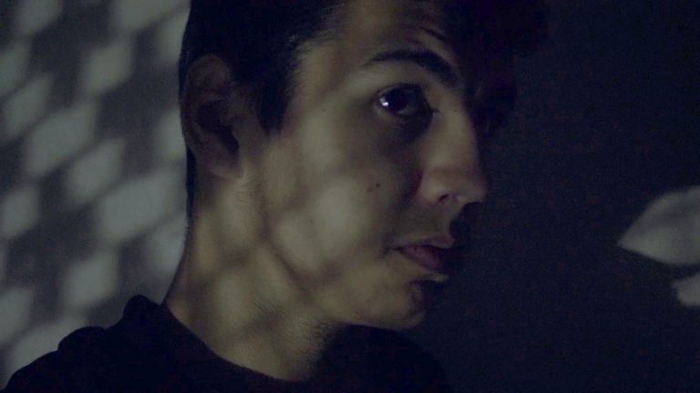 Ozveny Cineama - Silent Home