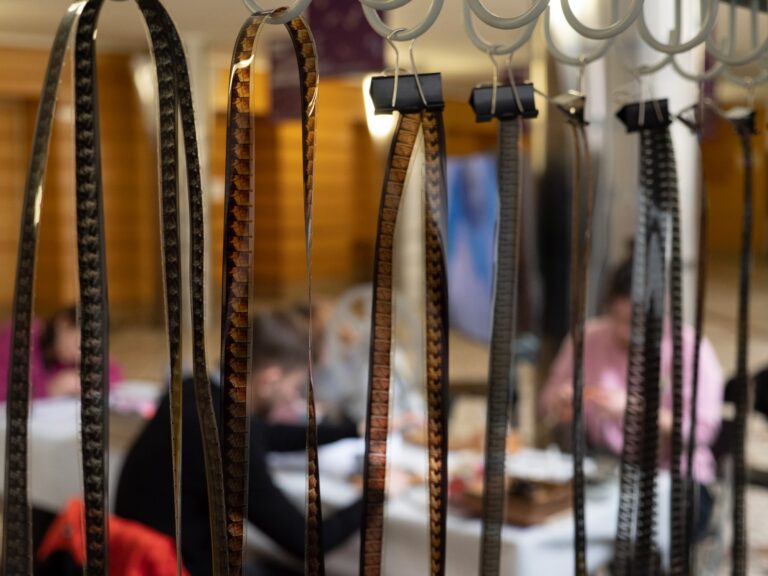 TVOR•BA 2023 piatok foto Debora Pastirčáková 1199325