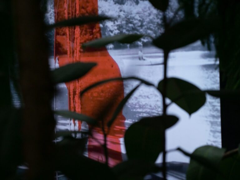 TVOR•BA 2023 sobota foto Debora Pastirčáková 1199475