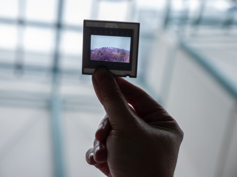 TVOR•BA 2023 sobota foto Debora Pastirčáková 1199521