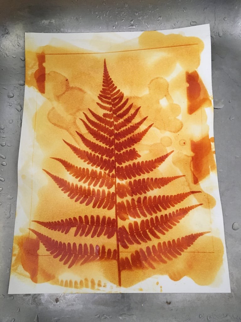 Antotypia