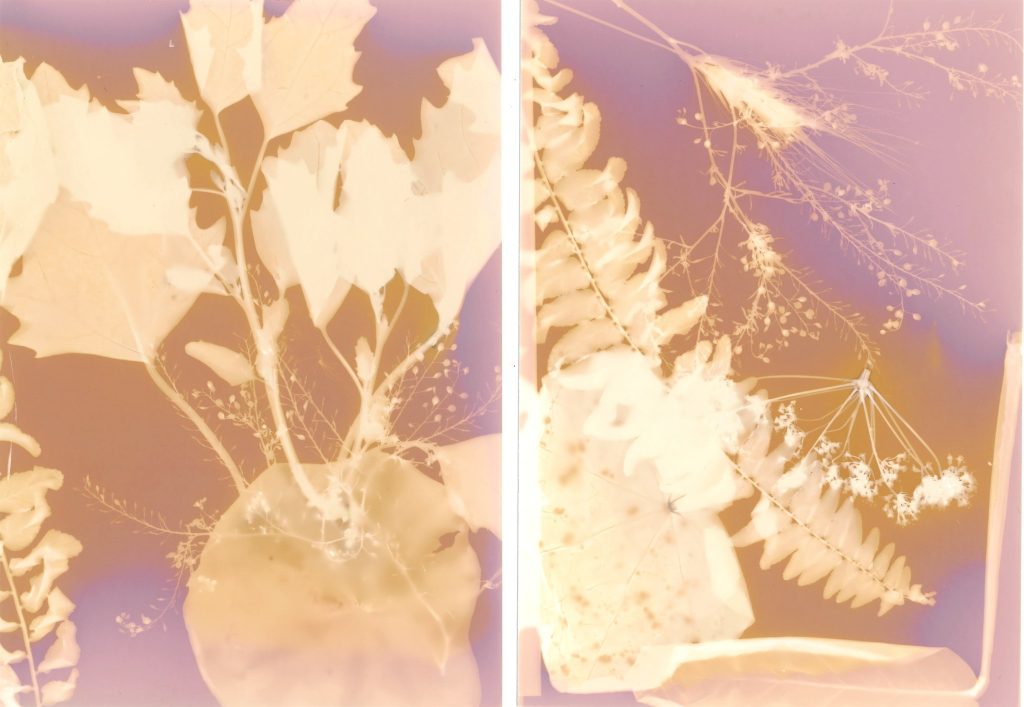 Lumen print